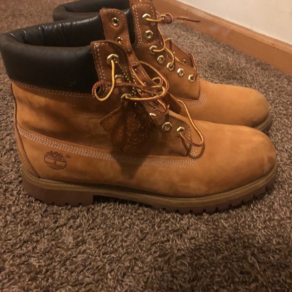 Timberland 6 inch wheat boot main image 5